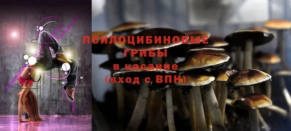 трава Верея