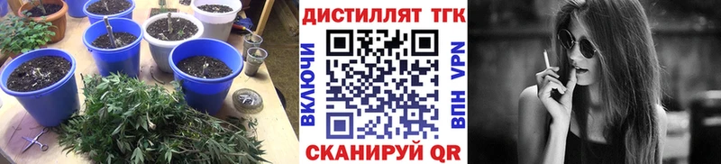 ссылка на мегу ссылки  Серпухов  маркетплейс как зайти  Дистиллят ТГК THC oil 